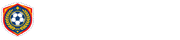 世界杯半决赛直播